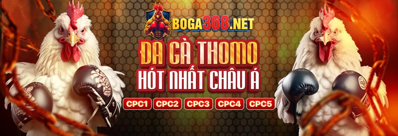 Tổng quan tin tức ngành cá cược F8BET
